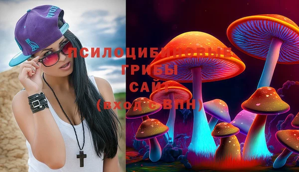 a pvp Арсеньев