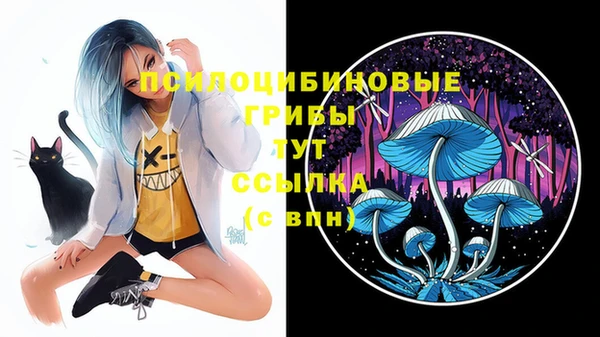 MDMA Premium VHQ Армянск